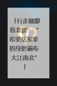 行走赣鄱看非遗：“希望岳家拳的身影遍布大江南北”