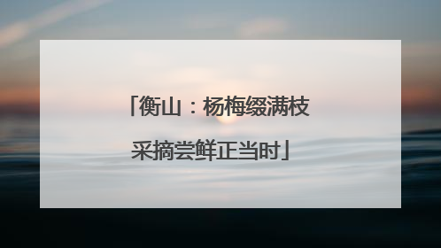 衡山：杨梅缀满枝 采摘尝鲜正当时