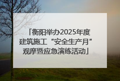 衡阳举办2025年度建筑施工“安全生产月”观摩暨应急演练活动