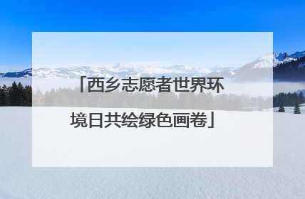 西乡志愿者世界环境日共绘绿色画卷