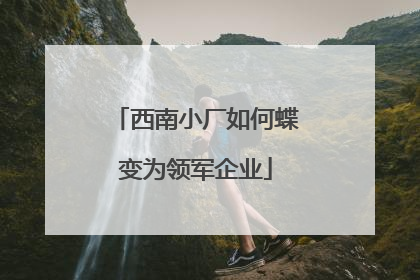 西南小厂如何蝶变为领军企业