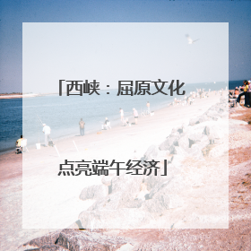 西峡：屈原文化点亮端午经济
