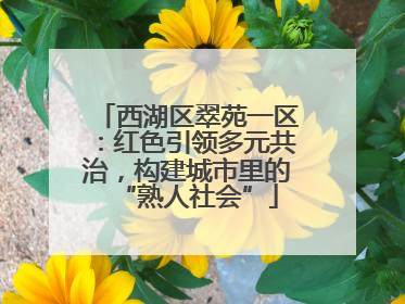 西湖区翠苑一区：红色引领多元共治，构建城市里的“熟人社会”