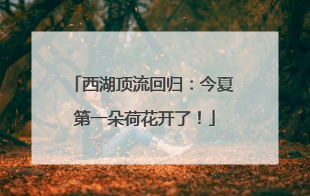 西湖顶流回归：今夏第一朵荷花开了！