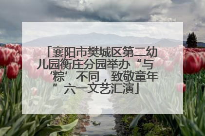 襄阳市樊城区第二幼儿园衡庄分园举办“与‘粽’不同，致敬童年”六一文艺汇演