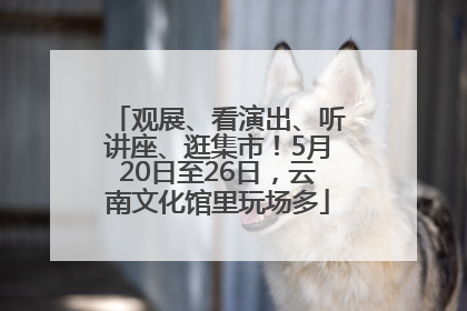 观展、看演出、听讲座、逛集市！5月20日至26日，云南文化馆里玩场多