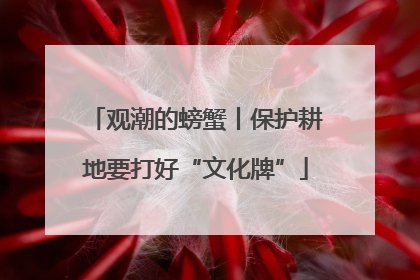 观潮的螃蟹丨保护耕地要打好“文化牌”
