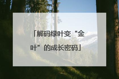 解码绿叶变“金叶”的成长密码