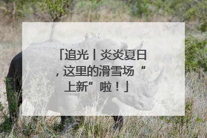 追光丨炎炎夏日，这里的滑雪场“上新”啦！