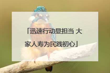 迅速行动显担当 大家人寿为民践初心