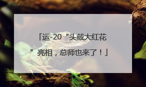 运-20“头戴大红花”亮相，总师也来了！
