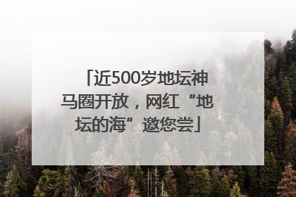 近500岁地坛神马圈开放，网红“地坛的海”邀您尝