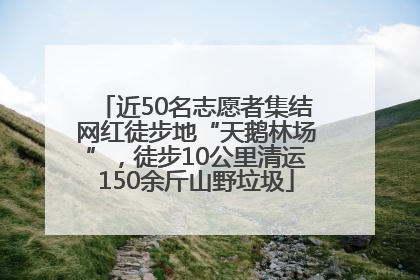 近50名志愿者集结网红徒步地“天鹅林场”，徒步10公里清运150余斤山野垃圾