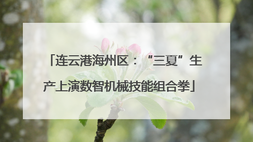 连云港海州区：“三夏”生产上演数智机械技能组合拳