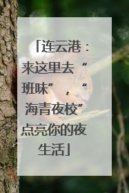 连云港：来这里去“班味”，“海青夜校”点亮你的夜生活