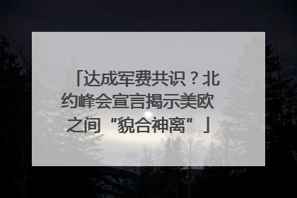 达成军费共识？北约峰会宣言揭示美欧之间“貌合神离”