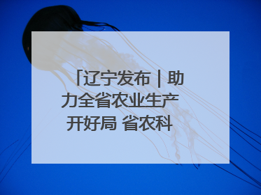 辽宁发布｜助力全省农业生产开好局 省农科院科技服务春耕备耕成效显著