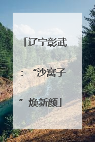 辽宁彰武：“沙窝子”焕新颜