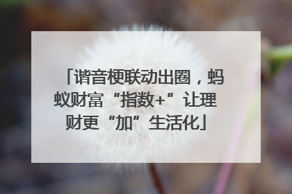 谐音梗联动出圈，蚂蚁财富“指数+”让理财更“加”生活化