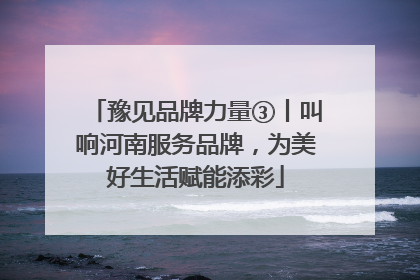 豫见品牌力量③丨叫响河南服务品牌，为美好生活赋能添彩
