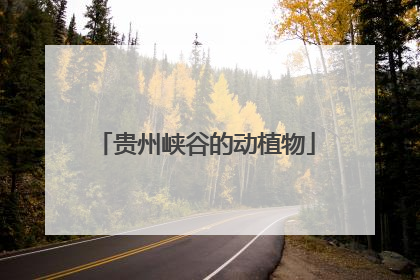贵州峡谷的动植物
