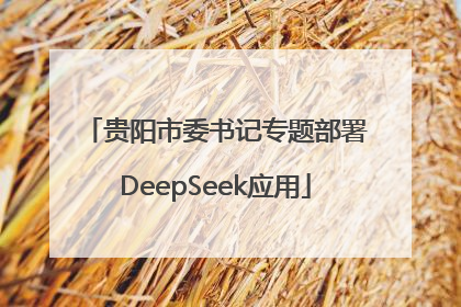 贵阳市委书记专题部署DeepSeek应用