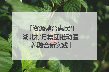 资源整合惠民生 湖北柠月集团推动医养融合新实践