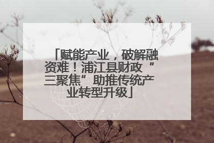 赋能产业，破解融资难！浦江县财政“三聚焦”助推传统产业转型升级