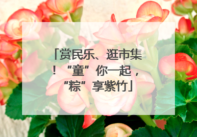 赏民乐、逛市集！“童”你一起，“粽”享紫竹