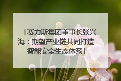 赛力斯集团董事长张兴海：期望产业链共同打造智能安全生态体系