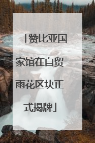 赞比亚国家馆在自贸雨花区块正式揭牌