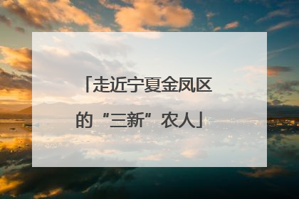 走近宁夏金凤区的“三新”农人
