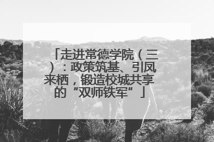 走进常德学院（三）：政策筑基、引凤来栖，锻造校城共享的“双师铁军”