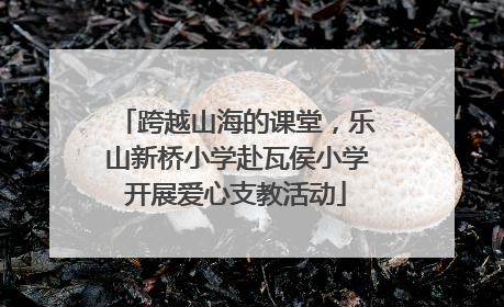 跨越山海的课堂，乐山新桥小学赴瓦侯小学开展爱心支教活动