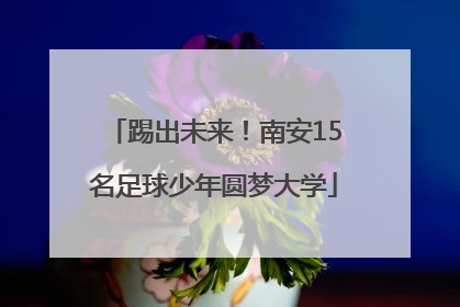 踢出未来！南安15名足球少年圆梦大学