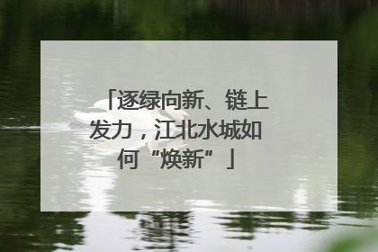 逐绿向新、链上发力，江北水城如何“焕新”
