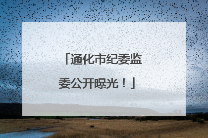 通化市纪委监委公开曝光！