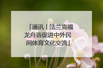 通讯丨法兰克福龙舟赛促进中外民间体育文化交流