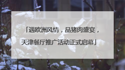 遇欧洲风情，品猪肉盛宴，天津餐厅推广活动正式启幕