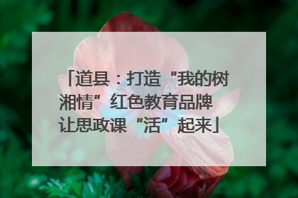 道县：打造“我的树湘情”红色教育品牌 让思政课“活”起来