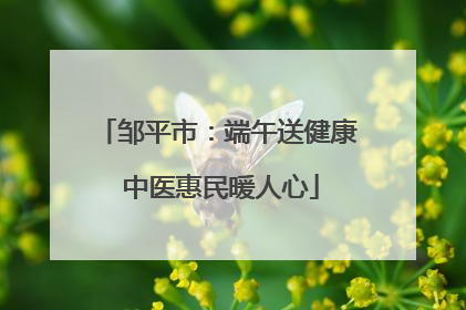 邹平市：端午送健康 中医惠民暖人心