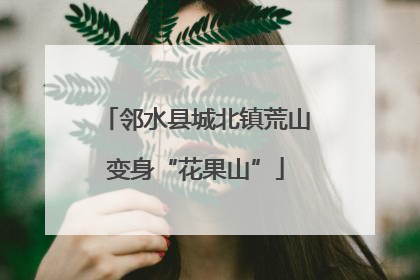 邻水县城北镇荒山变身“花果山”
