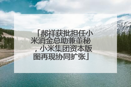 郝祥获批担任小米消金总助兼董秘，小米集团资本版图再现协同扩张