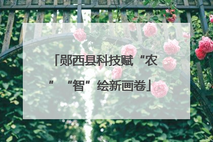郧西县科技赋“农”“智”绘新画卷