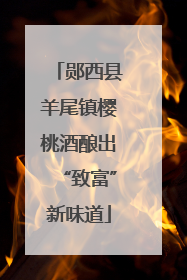 郧西县羊尾镇樱桃酒酿出“致富”新味道