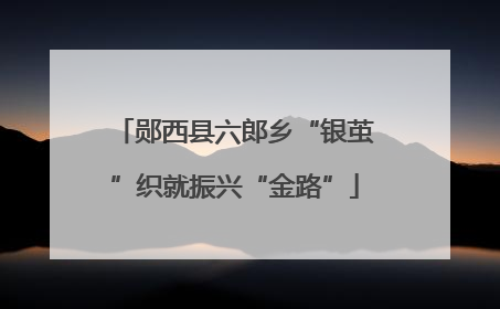 郧西县六郎乡“银茧”织就振兴“金路”