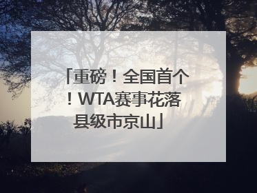 重磅！全国首个！WTA赛事花落县级市京山