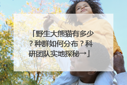 野生大熊猫有多少？种群如何分布？科研团队实地探秘→