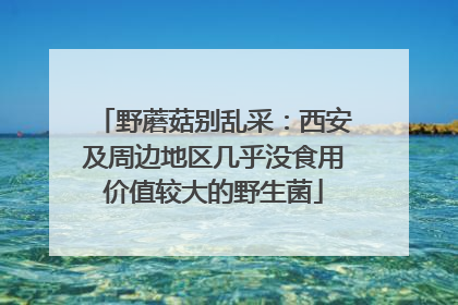 野蘑菇别乱采：西安及周边地区几乎没食用价值较大的野生菌