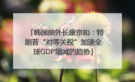 韩国前外长康京和：特朗普“对等关税”加速全球GDP缩减的趋势